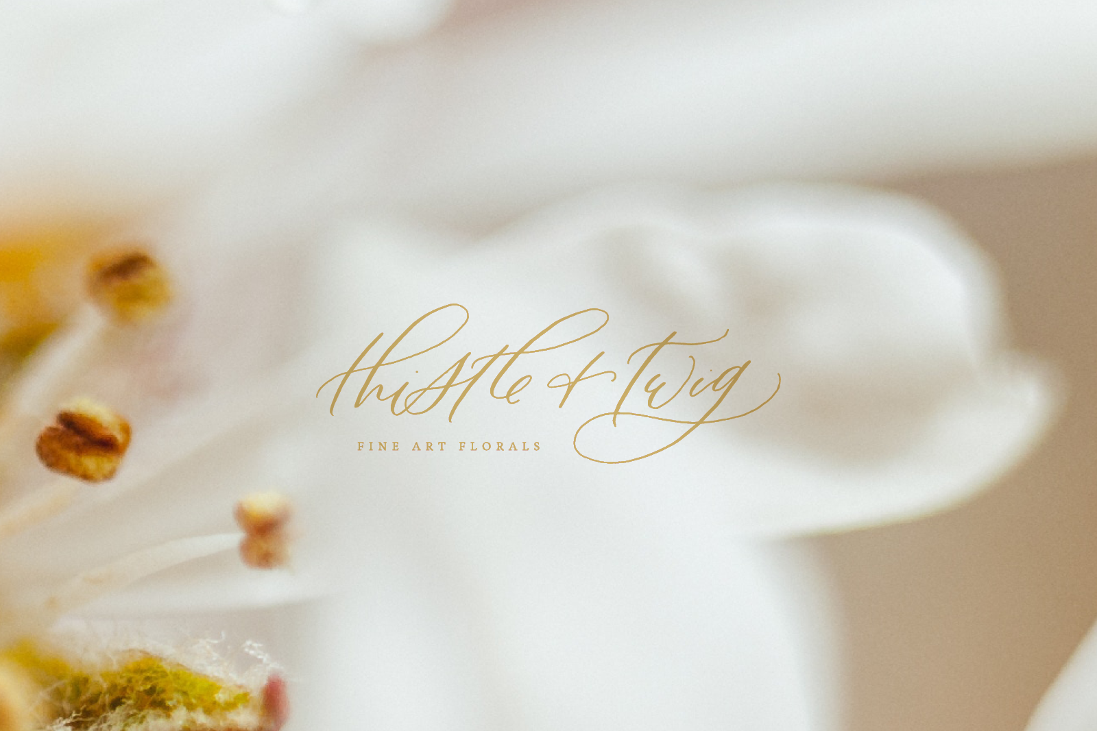 Wedding Industry Branding: Thistle + Twig // Sarah Ann Design